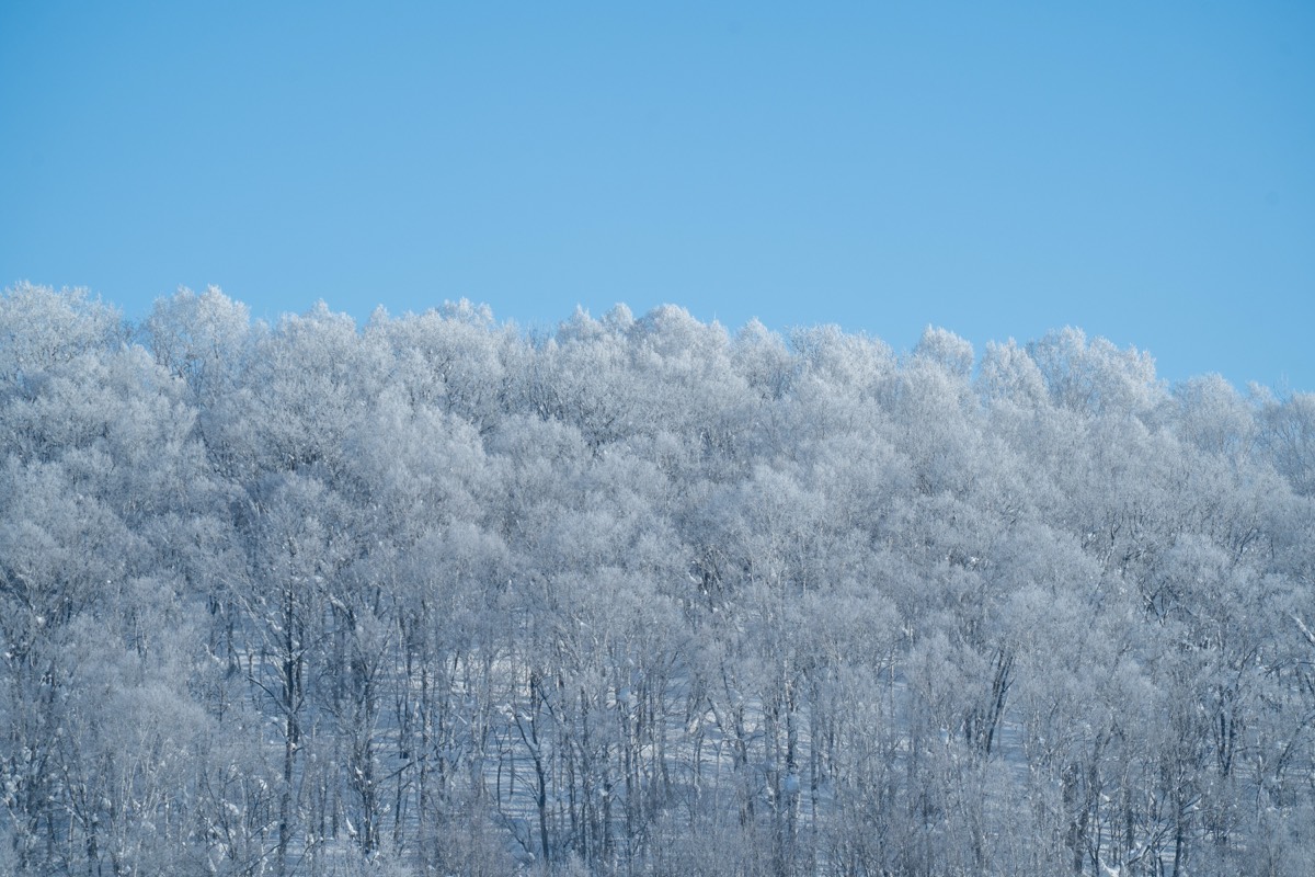 Snowy mountain peak